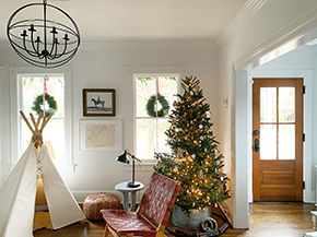 37504 shown in Douglas fir