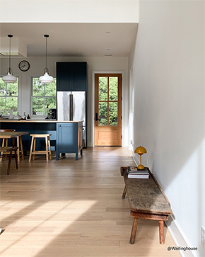 37504 shown in Douglas Fir