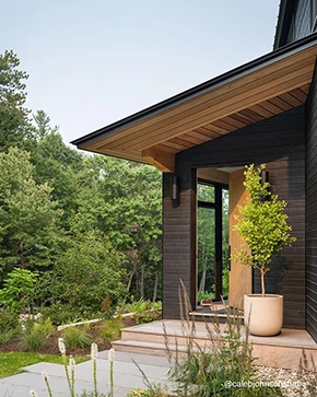 4972 shown in Douglas Fir