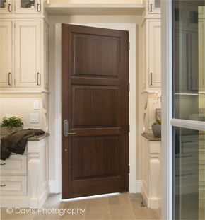 Traditional Interior Three Panel Kitchen Door