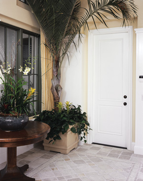 interior wood door